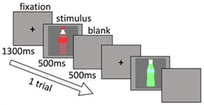 Products With High Purchase Frequency Require Greater Inhibitory Control: An Event-Related Potential Study